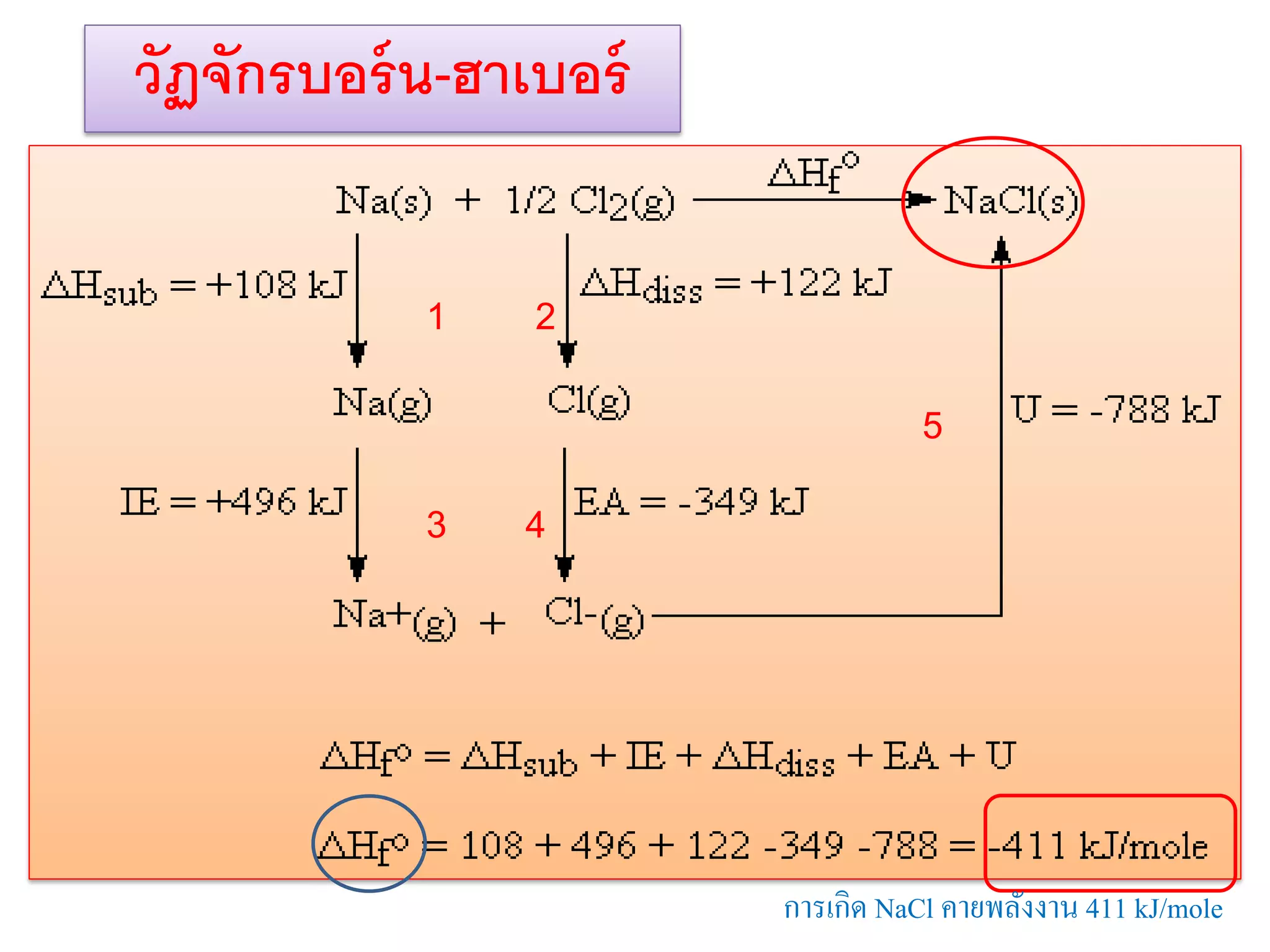 วัฏจักรบอร์ น-ฮาเบอร์
1

2
5

3

4

การเกิด NaCl คายพลังงาน 411 kJ/mole

 