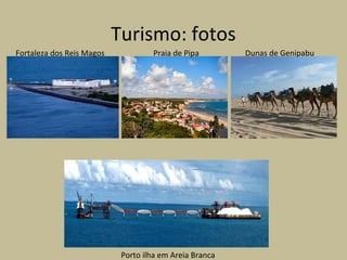 Turismo: fotos
Fortaleza dos Reis Magos Praia de Pipa Dunas de Genipabu
Porto ilha em Areia Branca
 