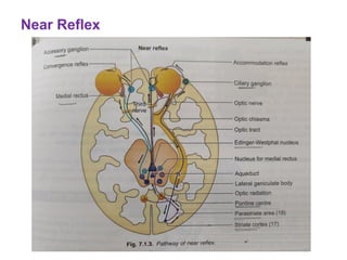 Near Response Components Comprehensive Introduction to Neuro-Ophthalmology: Pupil and Optic ...