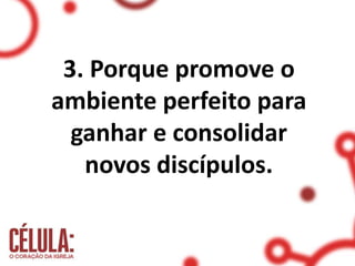 3. Porque promove o
ambiente perfeito para
ganhar e consolidar
novos discípulos.
 