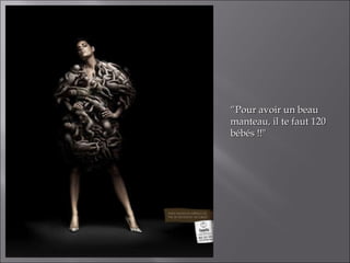 “ Pour avoir un beau manteau, il te faut 120 bébés !!" 