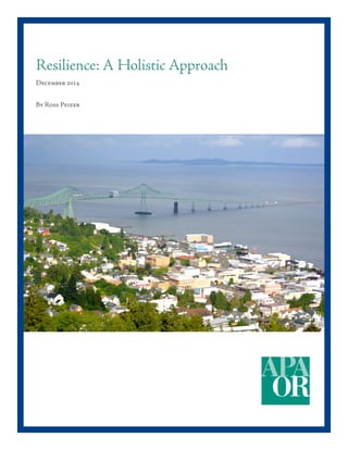 Resilience: A Holistic Approach
December 2014
By Ross Peizer
 