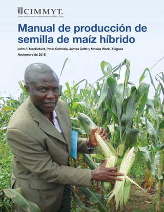 Manual de producción de
semilla de maíz híbrido
John F. MacRobert, Peter Setimela, James Gethi y Mosisa Worku Regasa
Noviembre de 2015
 