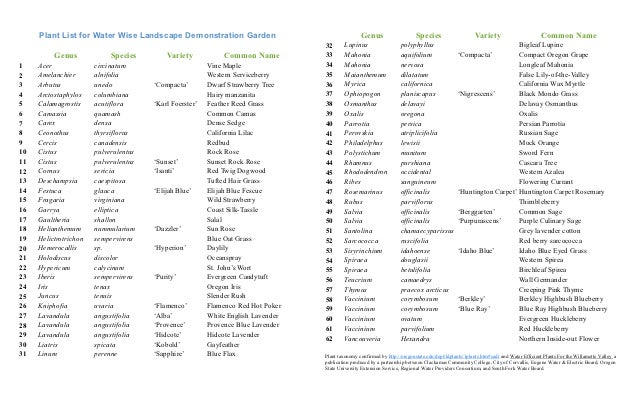Water Wise Landscape Demonstration Garden Plant List ...
