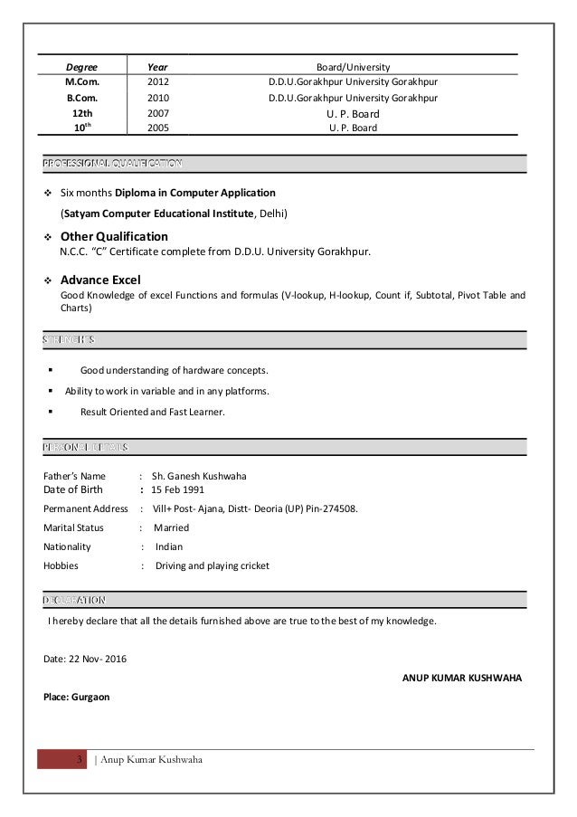 Resume for MIS Executive