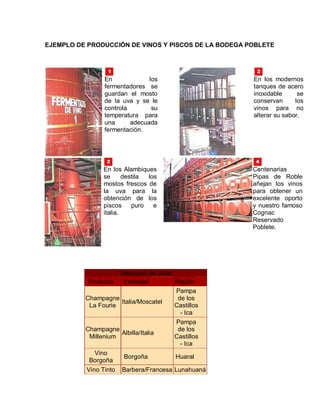EJEMPLO DE PRODUCCIÓN DE VINOS Y PISCOS DE LA BODEGA POBLETE




               En             los                     En los modernos
               fermentadores se                       tanques de acero
               guardan el mosto                       inoxidable      se
               de la uva y se le                      conservan      los
               controla        su                     vinos para no
               temperatura para                       alterar su sabor.
               una      adecuada
               fermentación.




               En los Alambiques                      Centenarias
               se      destila los                    Pipas de Roble
               mostos frescos de                      añejan los vinos
               la uva para la                         para obtener un
               obtención de los                       excelente oporto
               piscos     puro   e                    y nuestro famoso
               italia.                                Cognac
                                                      Reservado
                                                      Poblete.




                     Selección de Uvas
           Producto    Variedad        Región
                                       Pampa
          Champagne                     de los
                      Italia/Moscatel
           La Fourie                   Castillos
                                         - Ica
                                       Pampa
          Champagne                     de los
                      Albilla/Italia
           Millenium                   Castillos
                                         - Ica
             Vino
                       Borgoña         Huaral
           Borgoña
          Vino Tinto Barbera/Francesa Lunahuaná
 