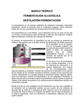 MARCO TEÓRICO
                FERMENTACIÓN ALCOHÓLICA
                DESTILACIÓN-FERMENTACIÓN
La fermentación es un proceso catabólico de oxidación incompleta, totalmente
anaeróbico, siendo el producto final un compuesto orgánico. Estos productos
finales son los que caracterizan los diversos tipos de fermentaciones.

Fue descubierta por Louis Pasteur, que la describió como la vie sans l´air (la vida
sin el aire). La fermentación típica es llevada a cabo por las levaduras. También
algunos metazoos y protistas son capaces de realizarla.

El proceso de fermentación es anaeróbico ya que se produce en ausencia de
oxígeno; ello significa que el aceptor final de los electrones del NADH producido
                                                 en la glucólisis no es el oxígeno,
                                                 sino un compuesto orgánico que
                                                 se reducirá para poder reoxidar el
                                                 NADH a NAD+. El compuesto
                                                 orgánico     que     se      reduce
                                                 (acetaldehído, piruvato, ...) es un
                                                 derivado del sustrato que se ha
                                                 oxidado anteriormente.

                                                En los seres vivos, la fermentación
                                                es un proceso anaeróbico y en él
                                                no interviene la mitocondria ni la
                                                cadena respiratoria. Son propias
                                                de los microorganismos, como
algunas bacterias y levaduras. También se produce la fermentación en la mayoría
de las células de los animales (incluido el hombre), excepto en las neuronas que
mueren rápidamente si no pueden realizar la respiración celular; algunas células,
como los eritrocitos, carecen de mitocondrias y se ven obligadas a fermentar; el
tejido muscular de los animales realiza la fermentación láctica cuando el aporte de
oxígeno a las células musculares no es suficiente para el metabolismo aerobio y la
contracción muscular.

Desde el punto de vista energético, las fermentaciones son muy poco rentables si
se comparan con la respiración aerobia, ya que a partir de una molécula de
glucosa sólo se obtienen 2 moléculas de ATP, mientras que en la respiración se
producen 36. Esto se debe a la oxidación del NADH, que en lugar de penetrar en
la cadena respiratoria, cede sus electrones a compuestos orgánicos con poco
poder oxidante.
 