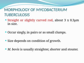 573642689-MYCOBACTERIUM-TUBERCULOSIS.pptx