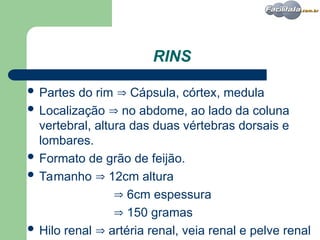 Aula enfermagem introdução sistema urinario.ppt