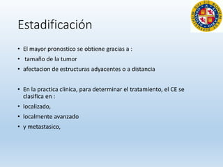 Estadificación
• El mayor pronostico se obtiene gracias a :
• tamaño de la tumor
• afectacion de estructuras adyacentes o a distancia
• En la practica clinica, para determinar el tratamiento, el CE se
clasifica en :
• localizado,
• localmente avanzado
• y metastasico,
 