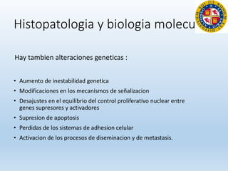 Histopatologia y biologia molecular
Hay tambien alteraciones geneticas :
• Aumento de inestabilidad genetica
• Modificaciones en los mecanismos de señalizacion
• Desajustes en el equilibrio del control proliferativo nuclear entre
genes supresores y activadores
• Supresion de apoptosis
• Perdidas de los sistemas de adhesion celular
• Activacion de los procesos de diseminacion y de metastasis.
 