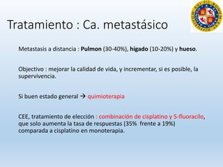 Tratamiento : Ca. metastásico
Metastasis a distancia : Pulmon (30-40%), hígado (10-20%) y hueso.
Objectivo : mejorar la calidad de vida, y incrementar, si es posible, la
supervivencia.
Si buen estado general  quimioterapia
CEE, tratamiento de elección : combinación de cisplatino y 5-fluoracilo,
que solo aumenta la tasa de respuestas (35% frente a 19%)
comparada a cisplatino en monoterapia.
 