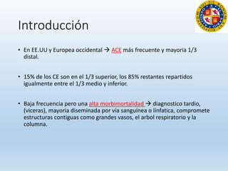 Introducción
• En EE.UU y Europea occidental  ACE más frecuente y mayoria 1/3
distal.
• 15% de los CE son en el 1/3 superior, los 85% restantes repartidos
igualmente entre el 1/3 medio y inferior.
• Baja frecuencia pero una alta morbimortalidad  diagnostico tardio,
(viceras), mayoria diseminada por vía sanguínea o línfatica, compromete
estructuras contiguas como grandes vasos, el arbol respiratorio y la
columna.
 