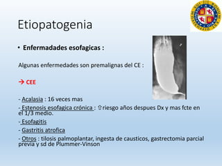 Etiopatogenia
• Enfermadades esofagicas :
Algunas enfermedades son premalignas del CE :
 CEE
- Acalasia : 16 veces mas
- Estenosis esofagica crónica : riesgo años despues Dx y mas fcte en
el 1/3 medio.
- Esofagitis
- Gastritis atrofica
- Otros : tilosis palmoplantar, ingesta de causticos, gastrectomia parcial
previa y sd de Plummer-Vinson
 