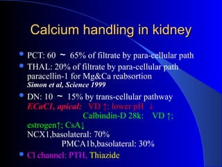 Calcium handling in kidneyCalcium handling in kidney
 PCT: 60 ～ 65% of filtrate by para-cellular path
 THAL: 20% of filtrate by para-cellular path
paracellin-1 for Mg&Ca reabsortion
Simon et al, Science 1999
 DN: 10 ～ 15% by trans-cellular pathway
ECaC1, apical: VD ↑; lower pH ↓
Calbindin-D 28k: VD ↑;
estrogen↑; CsA↓
NCX1,basolateral: 70%
PMCA1b,basolateral: 30%
 Cl channel: PTH, Thiazide
 
