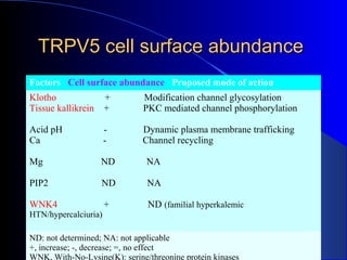 TRPV5 cell surface abundanceTRPV5 cell surface abundance
Factors Cell surface abundance Proposed mode of action
Klotho + Modification channel glycosylation
Tissue kallikrein + PKC mediated channel phosphorylation
Acid pH - Dynamic plasma membrane trafficking
Ca - Channel recycling
Mg ND NA
PIP2 ND NA
WNK4 + ND (familial hyperkalemic
HTN/hypercalciuria)
ND: not determined; NA: not applicable
+, increase; -, decrease; =, no effect
WNK, With-No-Lysine(K): serine/threonine protein kinases
 