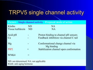 TRPV5 single channel activityTRPV5 single channel activity
Factors Single channel activity Proposed mode of action
Klotho ND NA
Tissue kallikrein ND NA
Acid pH - Proton binding to channel pH sensors
Ca - Feedback inhibition via channel C tail
Mg - Conformational change channel via
Mg binding
PIP2 + Stabilization channel open conformation
WNK4 =
ND: not determined; NA: not applicable
Kloth: anti-aging hormone
 