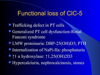 Functional loss of ClC-5Functional loss of ClC-5
Trafficking defect in PT cells
Generalized PT cell dysfunction-Renal
Fanconi syndrome
LMW proteinuria: DBP-25(OH)D3; PTH
Internalization of NaPi-IIa: phosphaturia
↑1 α hydroxylase: ↑1,25(OH)2D3
Hypercalciuria, nephrocalcinosis, stones
 