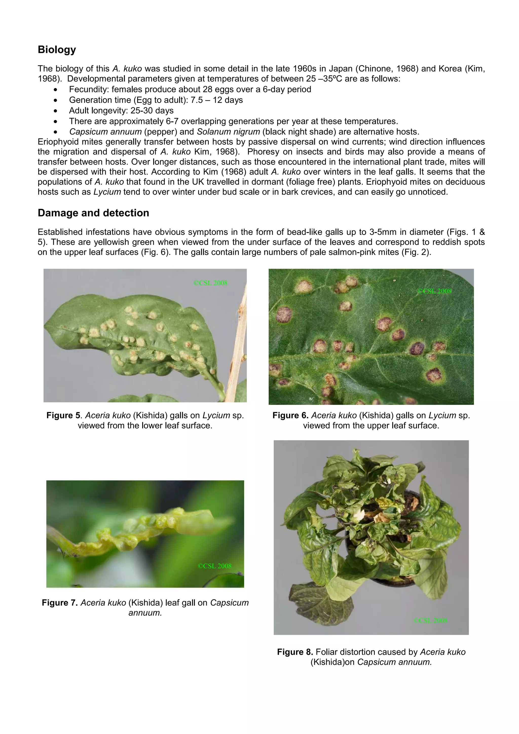 55_GojiGallMite-5 | PDF