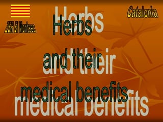 In Catalonia we have different medicinal herbs
and we use them in different variations. Here we
add the more important and...