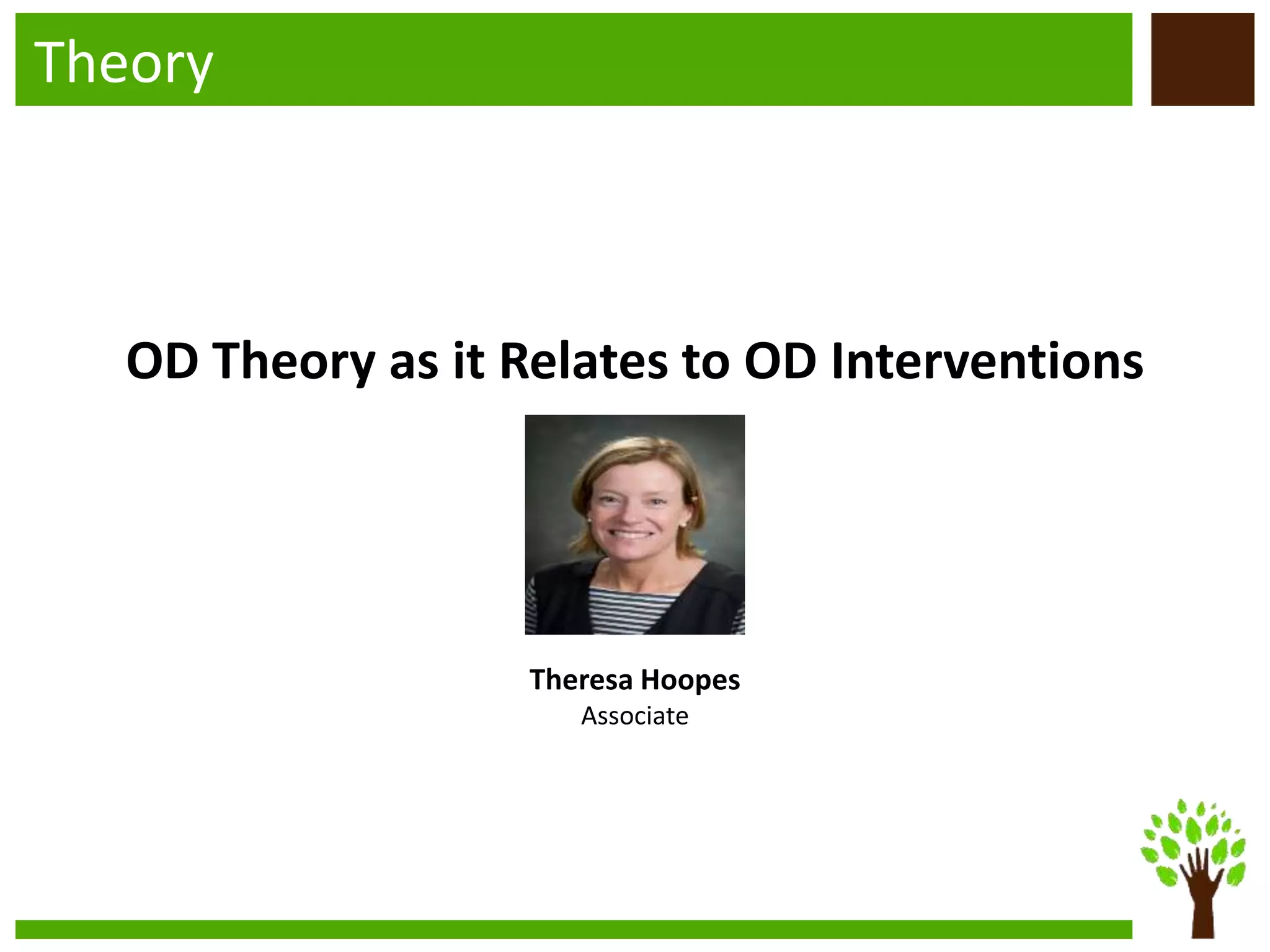 Theory
OD Theory as it Relates to OD Interventions
Theresa Hoopes
Associate
 