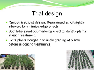 Trial design
 Randomised plot design. Rearranged at fortnightly
intervals to minimise edge effects
 Both labels and pot markings used to identify plants
in each treatment.
 Extra plants bought in to allow grading of plants
before allocating treatments.
 