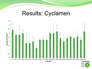 Results: Cyclamen
0
0.5
1
1.5
2
2.5
3
3.5
4
4.5
PC BC FS1 FS2 FS3 FS4 FS5 FW1 FW2 FW3 FW4 FW5 MS1 MS2 MS3 MS4 MS5 PW1 PW2 PW3 PW4 PW5
Averageleafnumber
Treatment
 