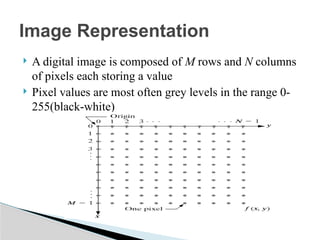 Comprehensive Overview of Digital Image Processing Techniques and ...