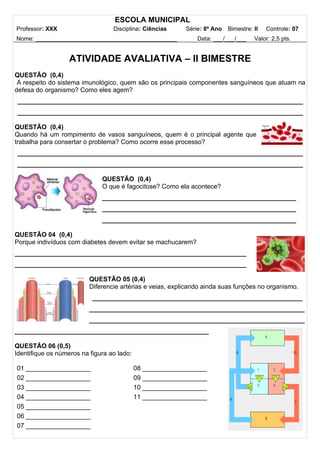 ESCOLA MUNICIPAL
Professor: XXX Disciplina: Ciências Série: 8º Ano Bimestre: II Controle: 07
Nome: ___________________________________________ Data: ___/___/___ Valor: 2,5 pts.
ATIVIDADE AVALIATIVA – II BIMESTRE
QUESTÃO (0,4)
A respeito do sistema imunológico, quem são os principais componentes sanguíneos que atuam na
defesa do organismo? Como eles agem?
_____________________________________________________
_____________________________________________________
QUESTÃO (0,4)
Quando há um rompimento de vasos sanguíneos, quem é o principal agente que
trabalha para consertar o problema? Como ocorre esse processo?
_____________________________________________________
_____________________________________________________
QUESTÃO (0,4)
O que é fagocitose? Como ela acontece?
____________________________________
____________________________________
____________________________________
QUESTÃO 04 (0,4)
Porque indivíduos com diabetes devem evitar se machucarem?
___________________________________________
___________________________________________
QUESTÃO 05 (0,4)
Diferencie artérias e veias, explicando ainda suas funções no organismo.
_______________________________________
________________________________________
________________________________________
____________________________________
QUESTÃO 06 (0,5)
Identifique os números na figura ao lado:
01 __________________
02 __________________
03 __________________
04 __________________
05 __________________
06 __________________
07 __________________
08 __________________
09 __________________
10 __________________
11 __________________
 