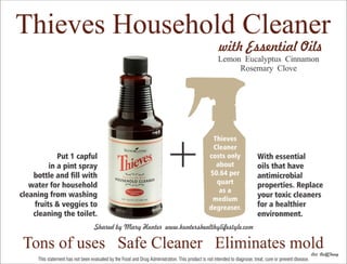 THIEVES CLEANER