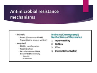 Antimicrobial resistance
mechanisms
 