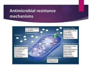 Antimicrobial resistance
mechanisms
 