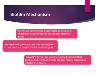 Biofilm Mechanism
Biofilms are communities of aggregated bacterial cells
embedded in a self-produced extracellular polymeric
matrix
‘Persister’ cells ,wild-type cells that neither grow
nor die in the presence of bactericidal agents
Indwelling devices are usually associated with microbial
biofilms and eventually lead to catheter-related bloodstream
infections (CLABSIs).
 