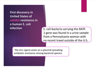 First discovery in
United States of
colistin resistance in
a human E. coli
infection E. coli bacteria carrying the MCR-
1 gene was found in a urine sample
from a Pennsylvania woman with
no recent travel outside of the U.S.
The mcr-1gene exists on a plasmid spreading
antibiotic resistance among bacterial species.
 