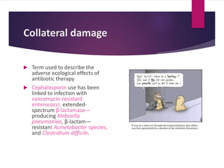 Collateral damage
 Term used to describe the
adverse ecological effects of
antibiotic therapy
 Cephalosporin use has been
linked to infection with
vancomycin-resistant
enterococci, extended-
spectrum β-lactamase—
producing Klebsiella
pneumoniae, β-lactam—
resistant Acinetobacter species,
and Clostridium difficile.
 