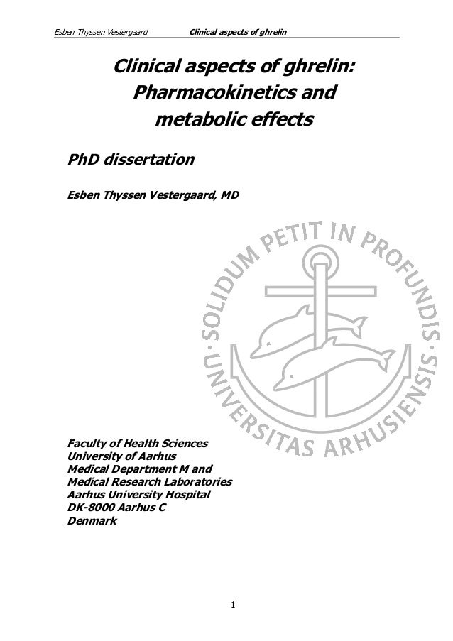 Phd dissertation 2008
