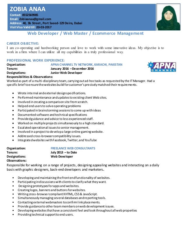 career objective web developer