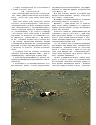• энергия вырабатывается в результате фотосинтеза
в хлорофилле по общей схеме
CO2
+ H2
O > глюкоза + O2
.
Так что солнечная энергия преобразуется в химическую.
Затем глюкоза превращается в гликоген и другие произ
водные, которые могут долго хранить накопленную
энергию.
Утилизация энергии может происходить аэробно
(с участием кислорода) и анаэробно, а также с исполь
зованием транспорта электронов. Анаэробное расщеп
ление глюкозы происходит с участием ферментов и на
зывается гликолизом. В результате образуются молеку
лы аденозинтрифосфата (АТФ), которые служат в мире
живого универсальным аккумулятором и переносчи
ком энергии. Эти молекулы за сутки претерпевают сот
ни превращений в аденозиндифосфат (АДФ) и обрат
но. Так, в организме человека содержится около 50 г
АТФ, которые обеспечивают выработку энергии
с мощностью порядка 100 Вт. Эти взаимопревращения
происходят не в одной и той же (обратимой) реакции,
а в результате цикла реакций с участием разных фер
ментов.
У эукариотов хемиосмос (механизм электронного
транспорта, открытый П. Митчелом в 1961 г.) происхо
дит в хлоропластах и митохондриях по общей схеме:
• в окислительно восстановительных реакциях про
тоны проникают сквозь клеточную мембрану, накапли
ваясь внутри;
• белки переносят электроны вдоль мембраны от од
ного фермента к другому, заставляя протоны переме
щаться в противоположном направлении, так что в кон
це концов они достигают фермента, обеспечивающего
синтез АТФ из АДФ;
• по мере разделения протонов и электронов среда
внутри клеточной мембраны становится более щелоч
ной, а снаружи — более кислой;
• кислород, оказывающийся конечным пунктом пе
реноса ионов водорода, в итоге образует воду.
Хемиосмос — яркий пример того, как бережлива
клетка в использовании энергии и насколько оригиналь
но в ходе эволюции решаются проблемы, жизненно важ
ные для всего биоценоза.
В результате упомянутых превращений из одной мо
лекулы глюкозы образуется до 38 молекул АТФ. С учетом
всего каскада (точнее, каскада каскадов) реакций эффек
тивность использования солнечной энергии, ее транс
порта и хранения в течение долгого времени in vivo ока
зывается исключительно высокой.
Даже при поверхностном рассмотрении преобразова
ния энергии в мире живого видно, насколько сложен
этот механизм. По сравнению с ним наш способ, осно
ванный на сжигании топлива — нефти, газа, угля, дров
(тоже, кстати, органического, т. е. полученного в резуль
тате указанных и множества других реакций), представ
ляется удручающе примитивным.
Для чего же природа пошла столь сложным путем?
Почему не использует горение для получения энергии?
Вот объяснение, выглядящее очевидным: универсаль
ность основных биологических блоков (в частности,
глюкозы как носителя энергии) позволяет в пищевых це
8-2006-4.qxd 20.07.2006 17:48 Page 45
 