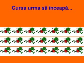 Cursa urma să înceapă...
 