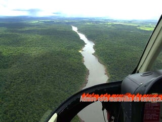 Admire esta maravilha da narureza. 