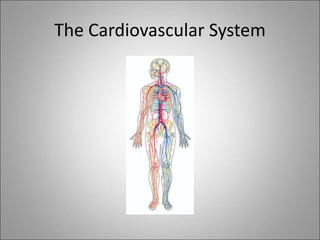 The Cardiovascular System
 