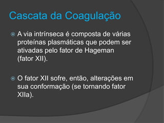 Cascata da Coagulação
 A via intrínseca é composta de várias
proteínas plasmáticas que podem ser
ativadas pelo fator de Hageman
(fator XII).
 O fator XII sofre, então, alterações em
sua conformação (se tornando fator
XIIa).
 