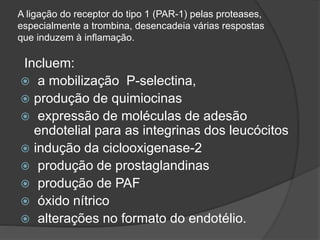 A ligação do receptor do tipo 1 (PAR-1) pelas proteases,
especialmente a trombina, desencadeia várias respostas
que induzem à inflamação.
Incluem:
 a mobilização P-selectina,
 produção de quimiocinas
 expressão de moléculas de adesão
endotelial para as integrinas dos leucócitos
 indução da ciclooxigenase-2
 produção de prostaglandinas
 produção de PAF
 óxido nítrico
 alterações no formato do endotélio.
 
