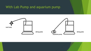 With Lab Pump and aquarium pump
 