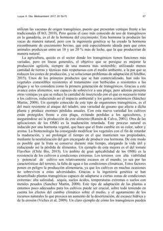 Luque, K. Obs. Medioambient. 2017, 20: 59-75 67
utilizan las vacunas de origen transgénico, puesto que presentan ventajas frente a las
tradicionales (FAO, 2010), Pero quizás el caso más conocido de uso de transgénicos
en la ganadería, es el de la hormona del crecimiento. Esta hormona la producen las
vacas de manera natural, pero con la ingeniería genética se ha creado la hormona
recombinante de crecimiento bovino, que está especialmente ideada para que estos
animales produzcan entre un 10 y un 20 % más de leche, que la que producirían de
manera natural.
La agricultura, quizás es el sector donde los transgénicos tienen funciones más
variadas, pero en líneas generales, el objetivo que se persigue es mejorar la
producción agrícola, siempre de una manera más sostenible; utilizando menos
cantidad de tierras y técnicas más respetuosas con el medio ambiente, a la par que se
reducen los costes de producción, y se solucionan problemas de adaptación (ChileBio,
2015). Unos de los primeros productos que se han comercializado, han sido los
vegetales comestibles resistentes al tratamiento con herbicidas o resistentes a las
plagas y se les considera como la primera generación de transgénicos. Gracias a este
avance estos alimentos, son capaces de sobrevivir a una plaga, pero además presenta
otras ventajas ya que se reduce la cantidad de insecticida con el que es necesario tratar
a los cultivos, reduciendo así el impacto ambiental y los gastos económicos (Sánchez
Martín, 2008). Un ejemplo conocido de este tipo de organismos transgénicos, es el
del maíz resistente al ataque del taladro, una variedad de gusano que afecta a dicha
planta y produce enormes pérdidas anuales. Con esta nueva variedad los cultivos
están protegidos frente a esta plaga, evitando perdidas a los agricultores, y
asegurándose así la producción de este alimento (Ramón & Calvo, 2001). Otra de las
aplicaciones de los OMG es la maduración retardada. Este proceso natural es
inducido por una hormona vegetal, que hace que el fruto cambie en su color, sabor y
aroma. La biotecnología ha conseguido modificar los vegetales con el fin de retardar
la maduración, y así prolongar el tiempo en el que mantienen sus propiedades,
mediante la neutralización del gen encargado de producir esa hormona. De este modo
es posible que la fruta se conserve durante más tiempo, alargando la vida útil y
reduciendo así la pérdida de alimentos. Un ejemplo de esta mejora es el del tomate
FlavrSav (Chile Bio, 2015). Un ámbito de gran aplicabilidad de los OMG es la
resistencia de los cultivos a condiciones extremas. Los terrenos con alta viabilidad
y potencial de cultivo son relativamente escasos en el mundo, ya sea por las
características del terreno, la falta de agua o las condiciones climáticas. Estos factores
ponen en peligro la producción alimentaria, ya que los cultivos en muchas ocasiones
no sobreviven a estas adversidades. Gracias a la ingeniería genética se han
desarrollado plantas transgénicas capaces de adaptarse a ciertas zonas de condiciones
extremas: alta salinidad, sequía, suelos ácidos, temperaturas extremas o suelos con
metales pesados (Sanchez Martín, 2008). Este tipo de adaptación de las plantas a
entornos poco adecuados para los cultivos puede ser crucial, sobre todo teniendo en
cuenta los efectos del cambio climático sobre el medio, y el agotamiento de los
recursos naturales lo que provoca un aumento de la desertización, de escasez hídrica y
de la erosión (Viches et al, 2009). Un claro ejemplo de cómo los transgénicos pueden
 