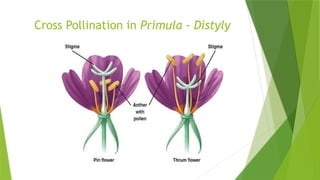 Pollination and their types and their factors | PPTX