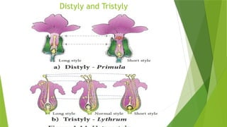 Pollination and their types and their factors | PPTX