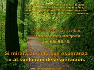 Visita: www.RenuevoDePlenitud.com 
 