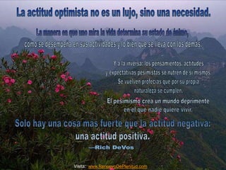 Visita: www.RenuevoDePlenitud.com 
 