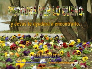 Para más presentaciones, visita: www.tommyswindow.com 
Visita: www.RenuevoDePlenitud.com 
